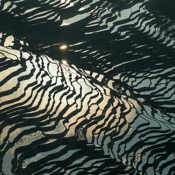Bada rice terraces, Yuanyang, China
