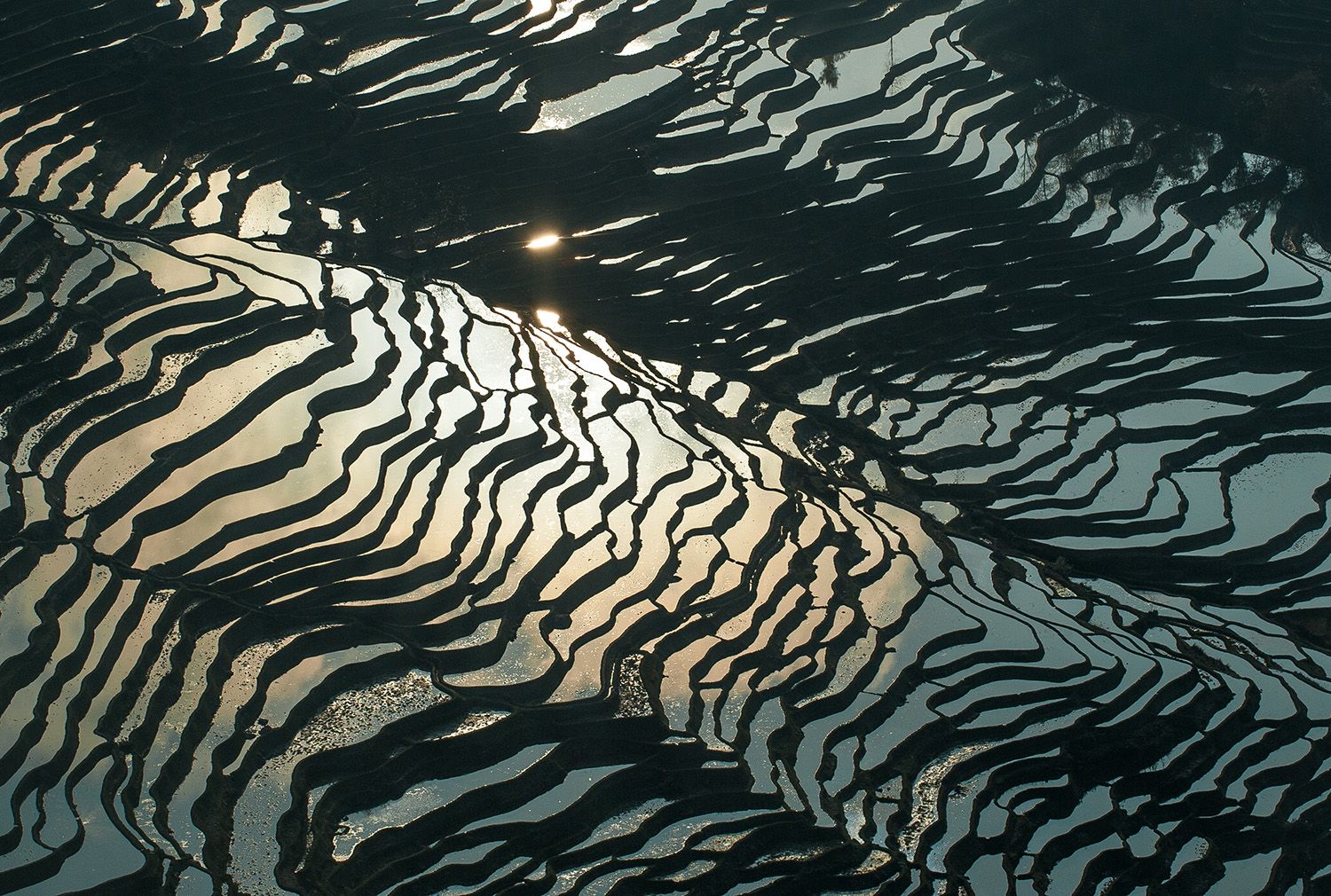 Bada rice terraces, Yuanyang, China