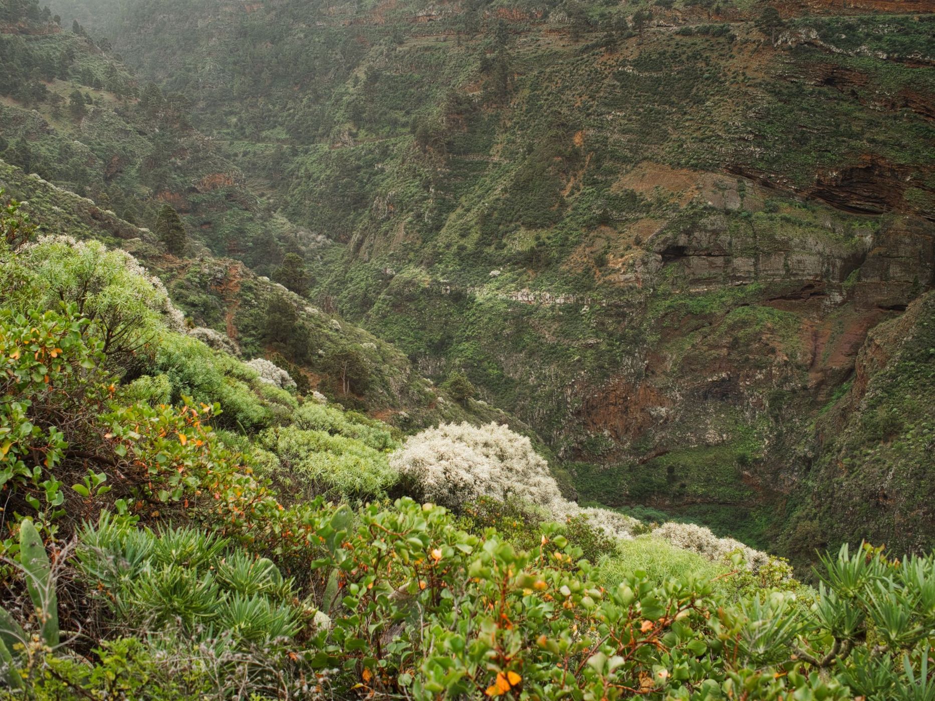 Barrancos and Nature, Spain