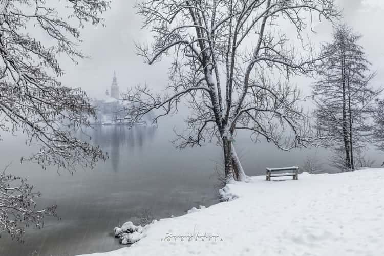 Lake Bled - Wooden Jetty - Rock covered with coins