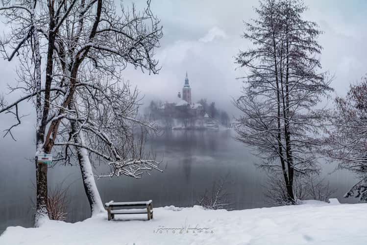 Lake Bled - Wooden Jetty - Rock covered with coins