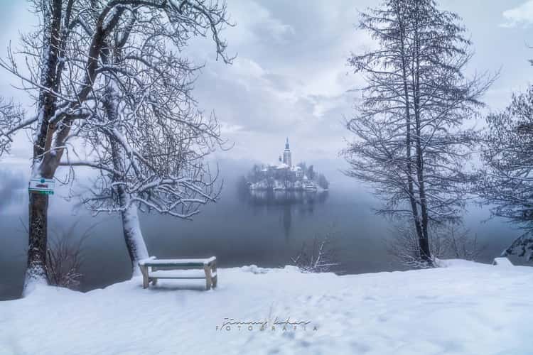 Lake Bled - Wooden Jetty - Rock covered with coins