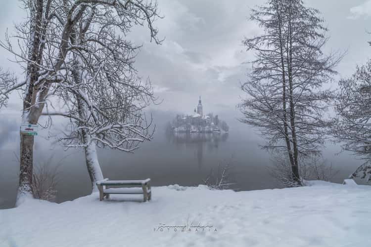 Lake Bled - Wooden Jetty - Rock covered with coins