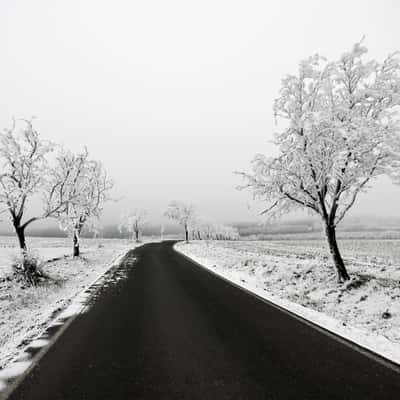 Bohemian Massif - Snowed under, Czech Republic