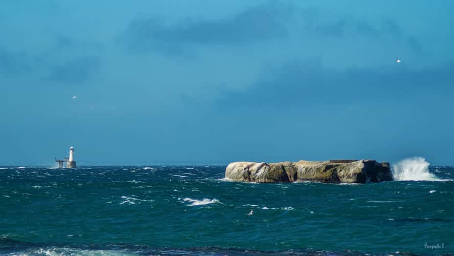 Boulders Penguin Colony