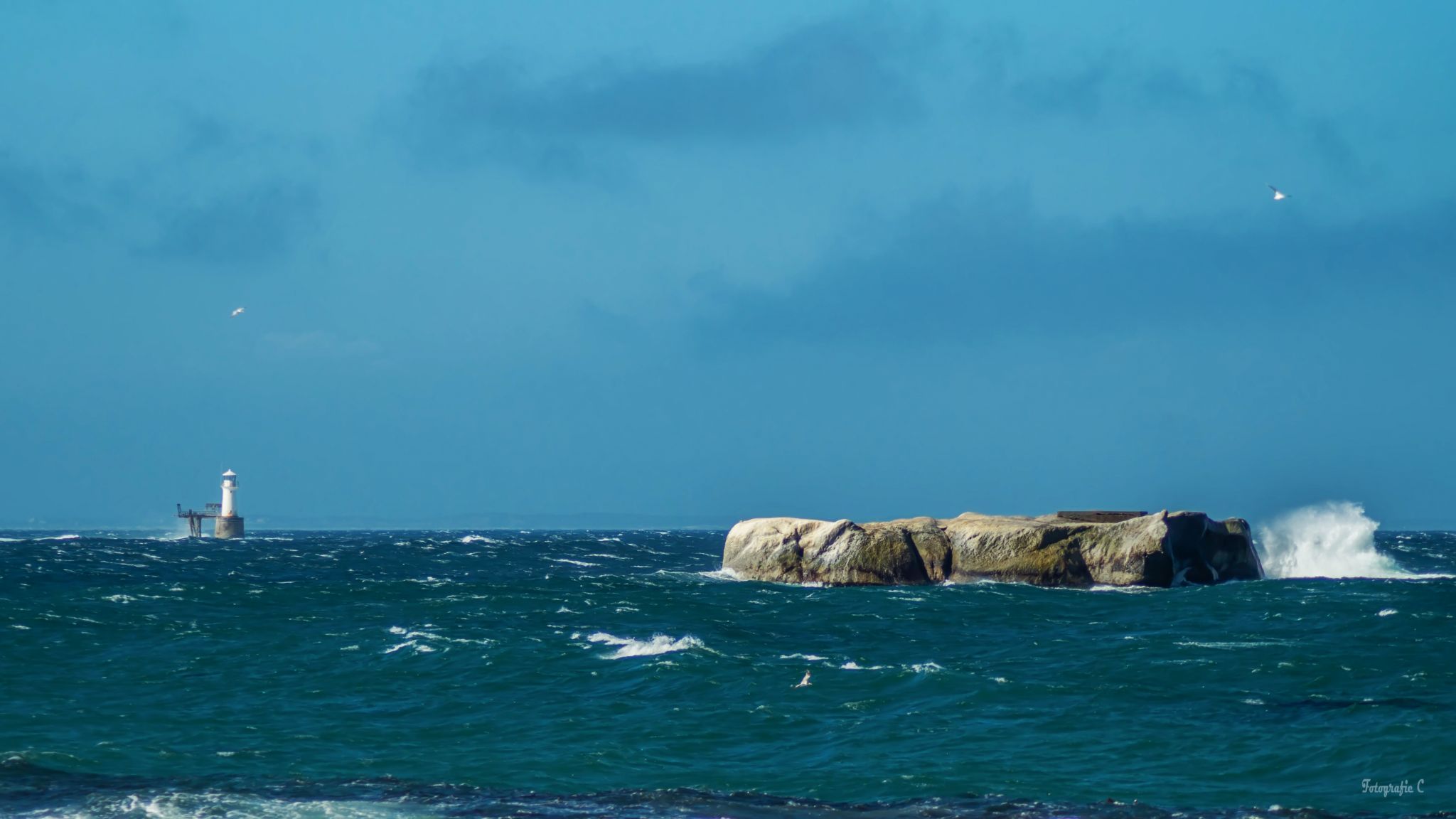 Boulders Penguin Colony, South Africa