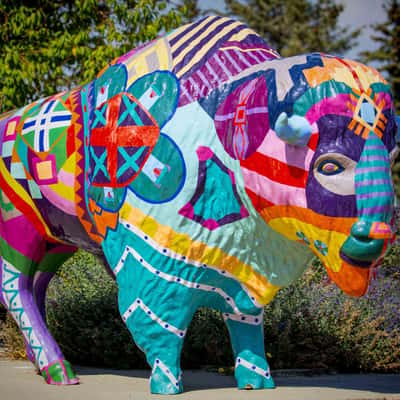 Buffalo Statues, USA