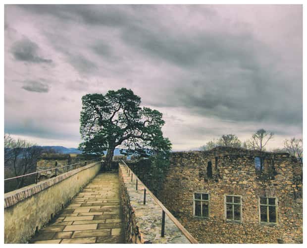 Castle Auerbach