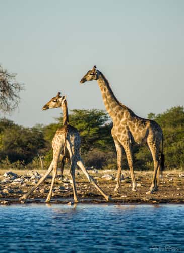 Chudop Waterhole
