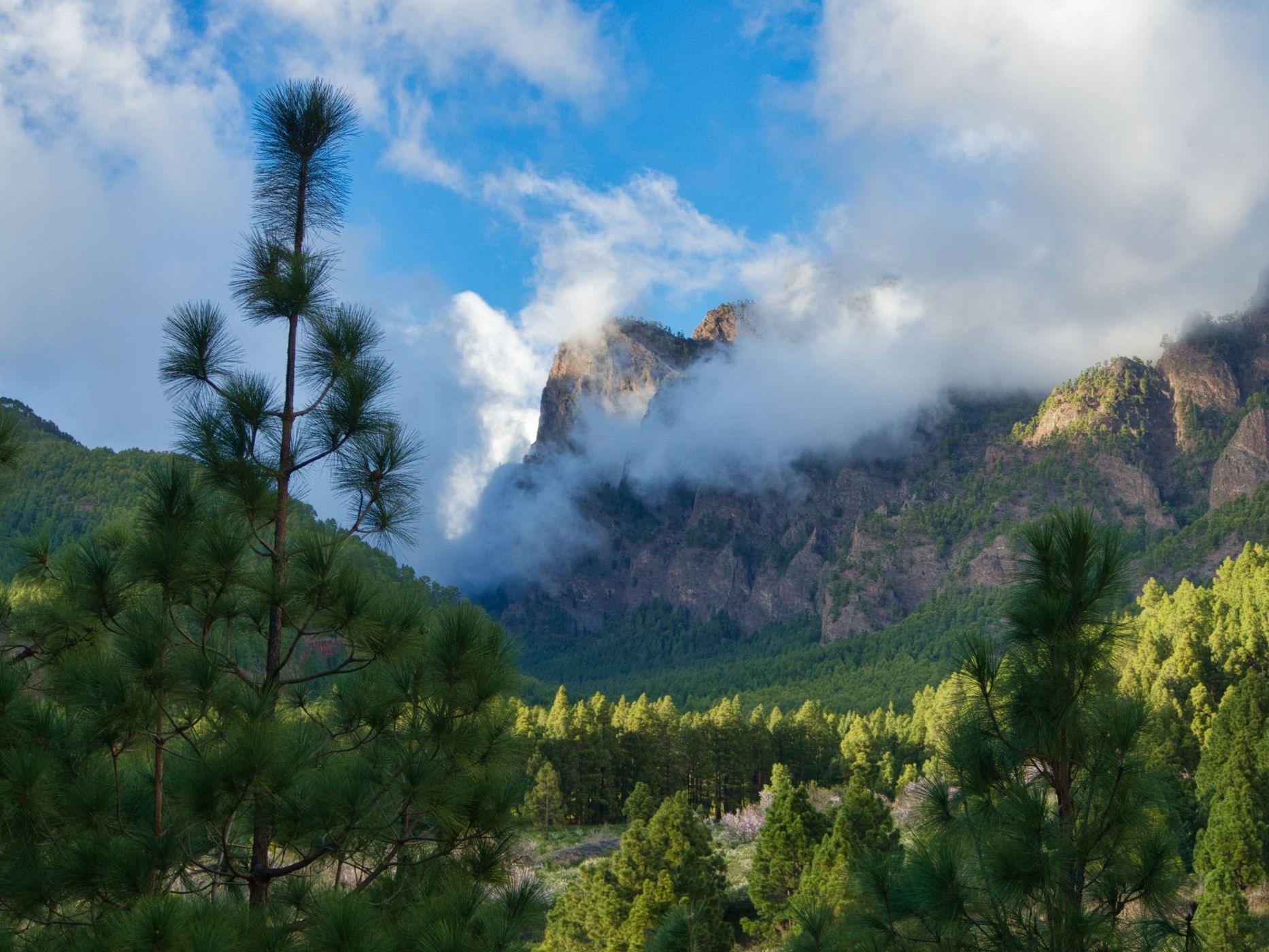 Clouds and Blossoms, Spain