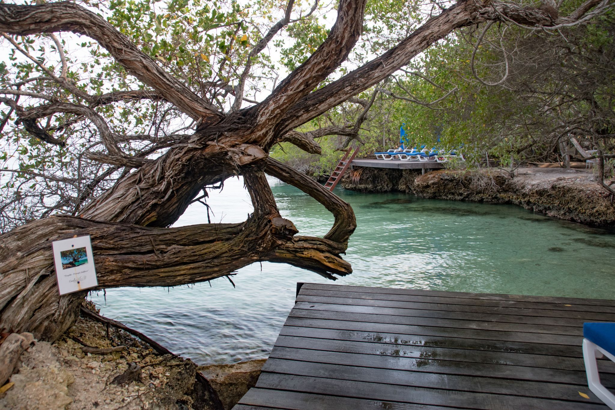 Coralina Island Resort, Colombia