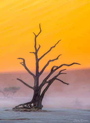 Deadvlei, Sossusvlei