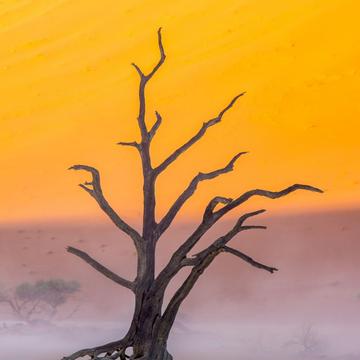 Deadvlei sandstorm, Namibia