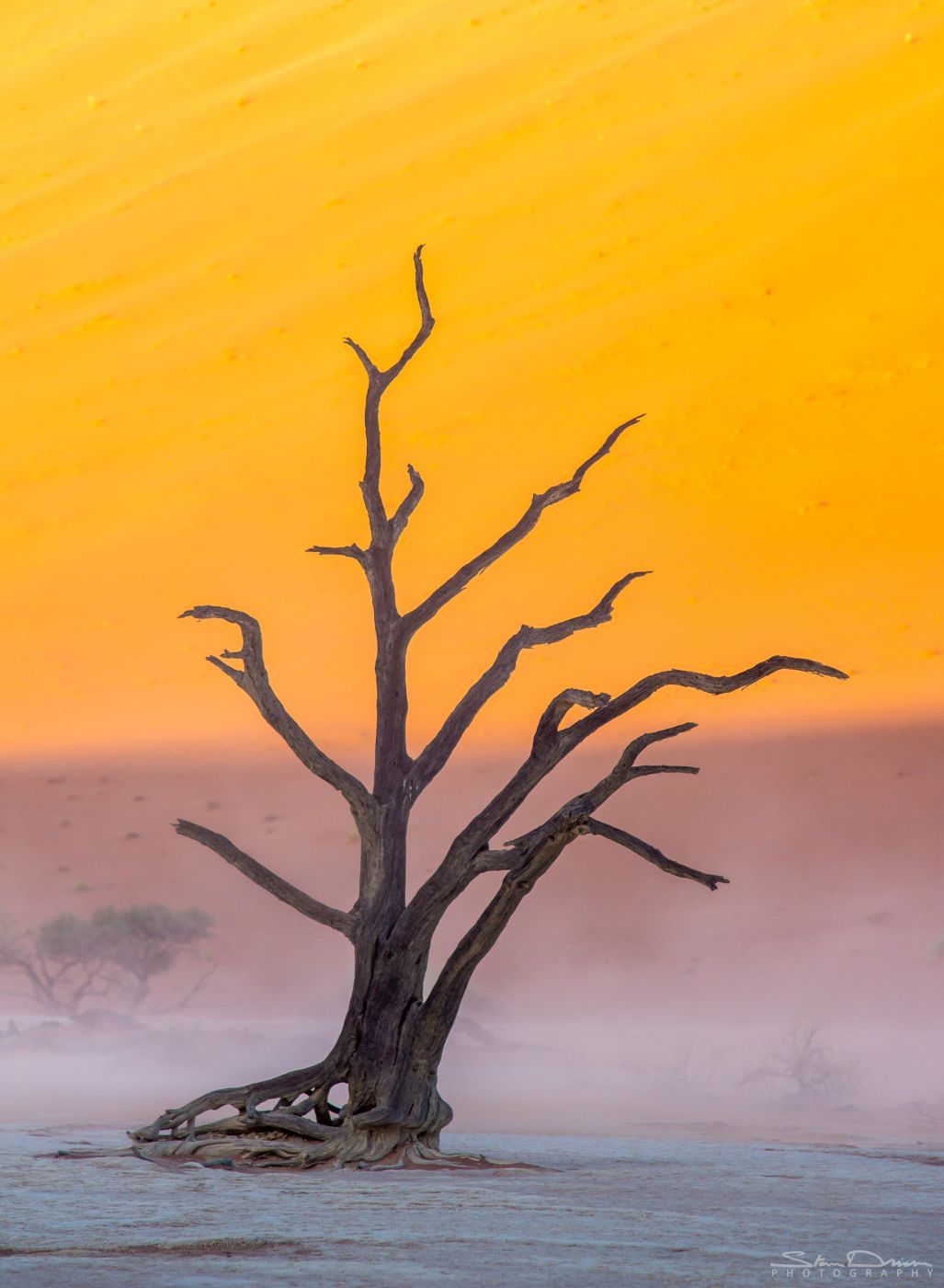 Deadvlei, Sossusvlei, Namibia