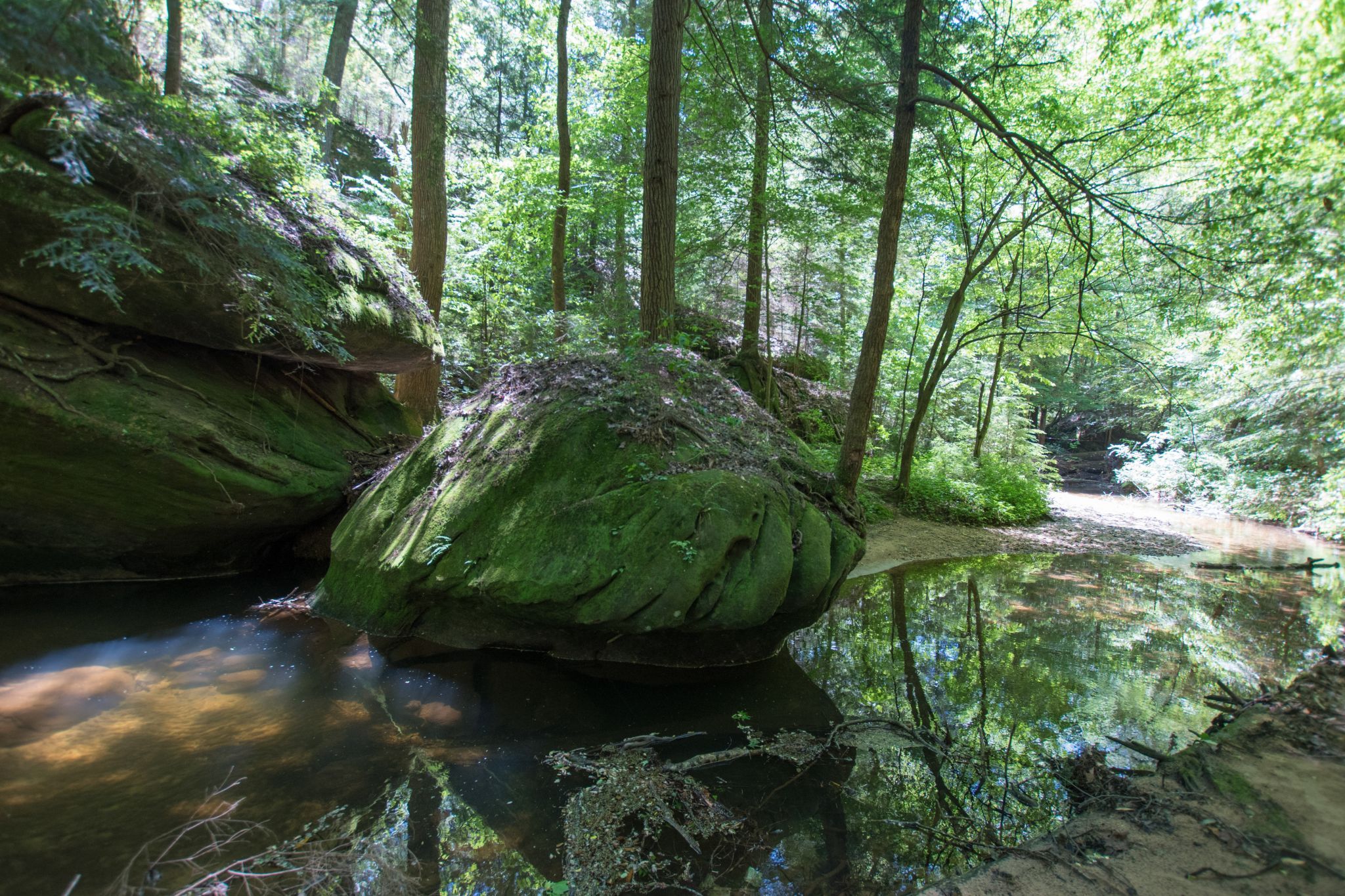 Dismals Canyon, USA