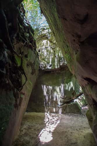 Dismals Canyon