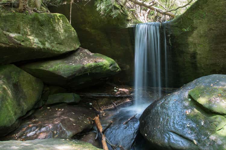 Dismals Canyon