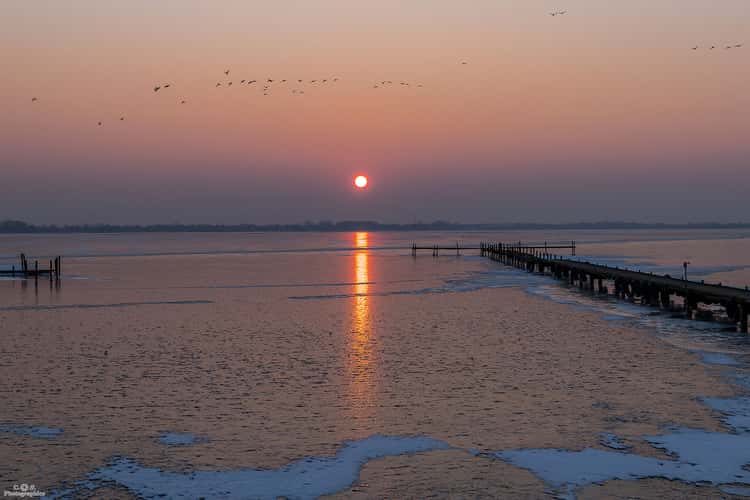 Dümmer Olgahafen
