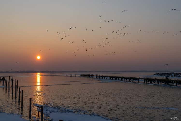 Dümmer Olgahafen
