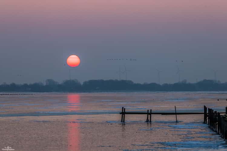 Dümmer Olgahafen