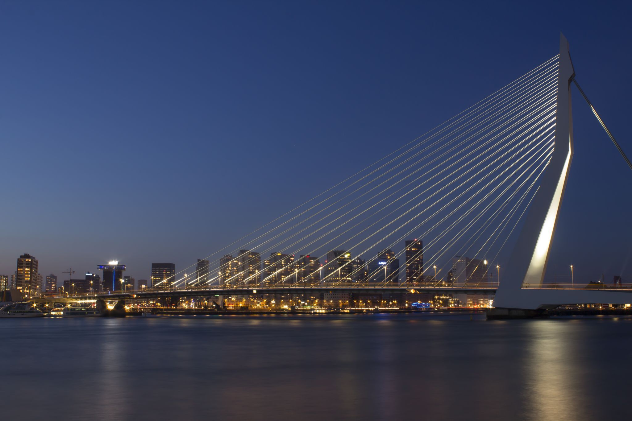 Erasmus Bridge (south view), Rotterdam, Netherlands
