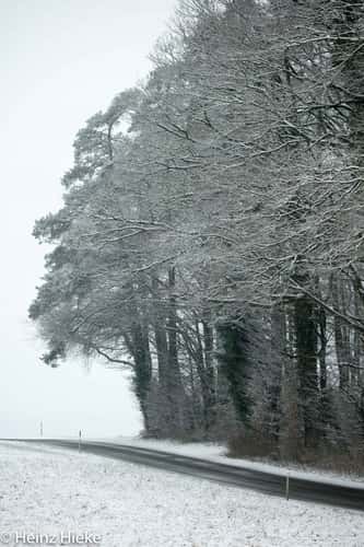 Hohenrain