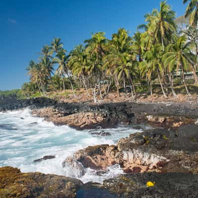 Kalapana Road, Hawaii, USA