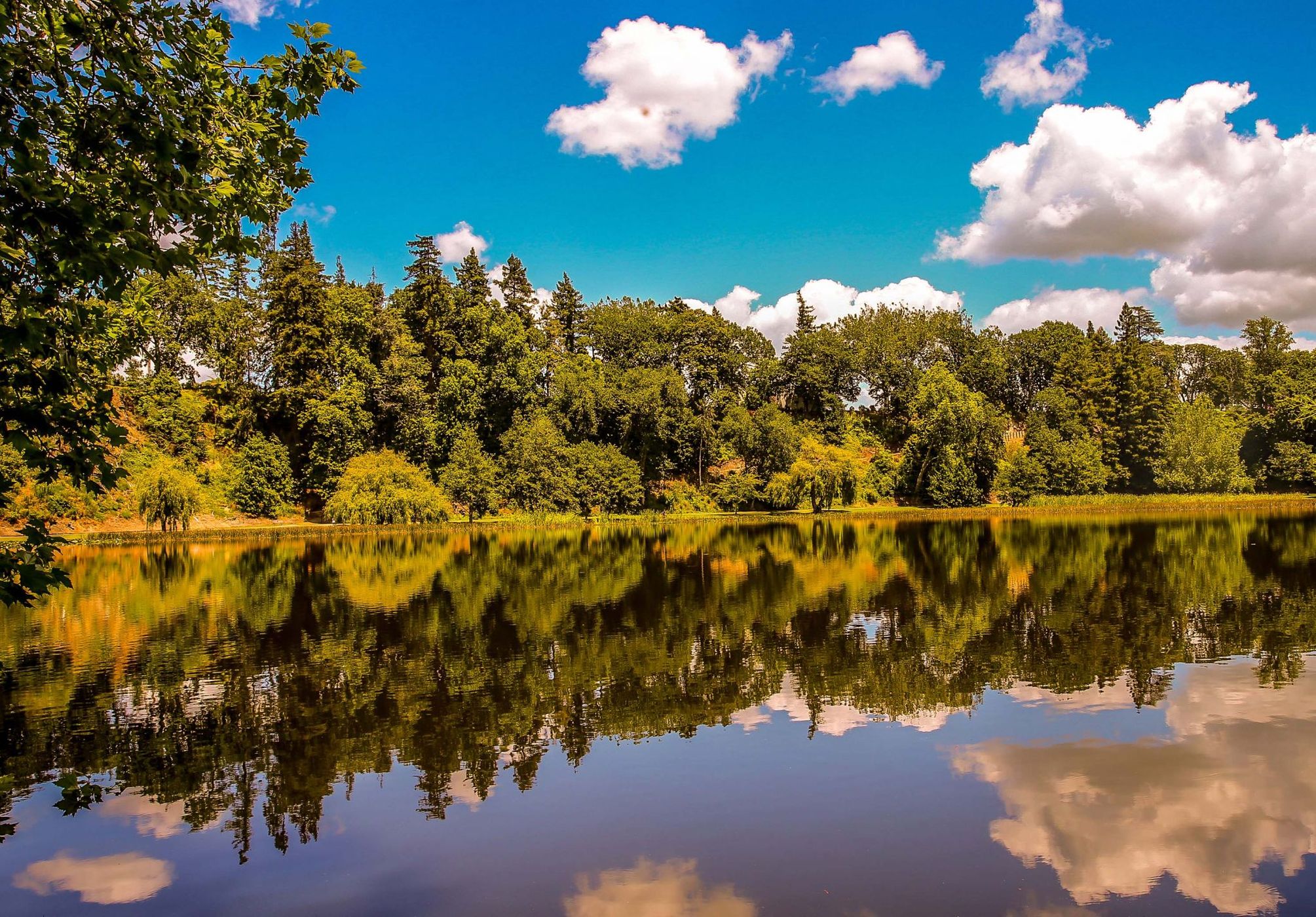 Lake Te Ko Utu, New Zealand