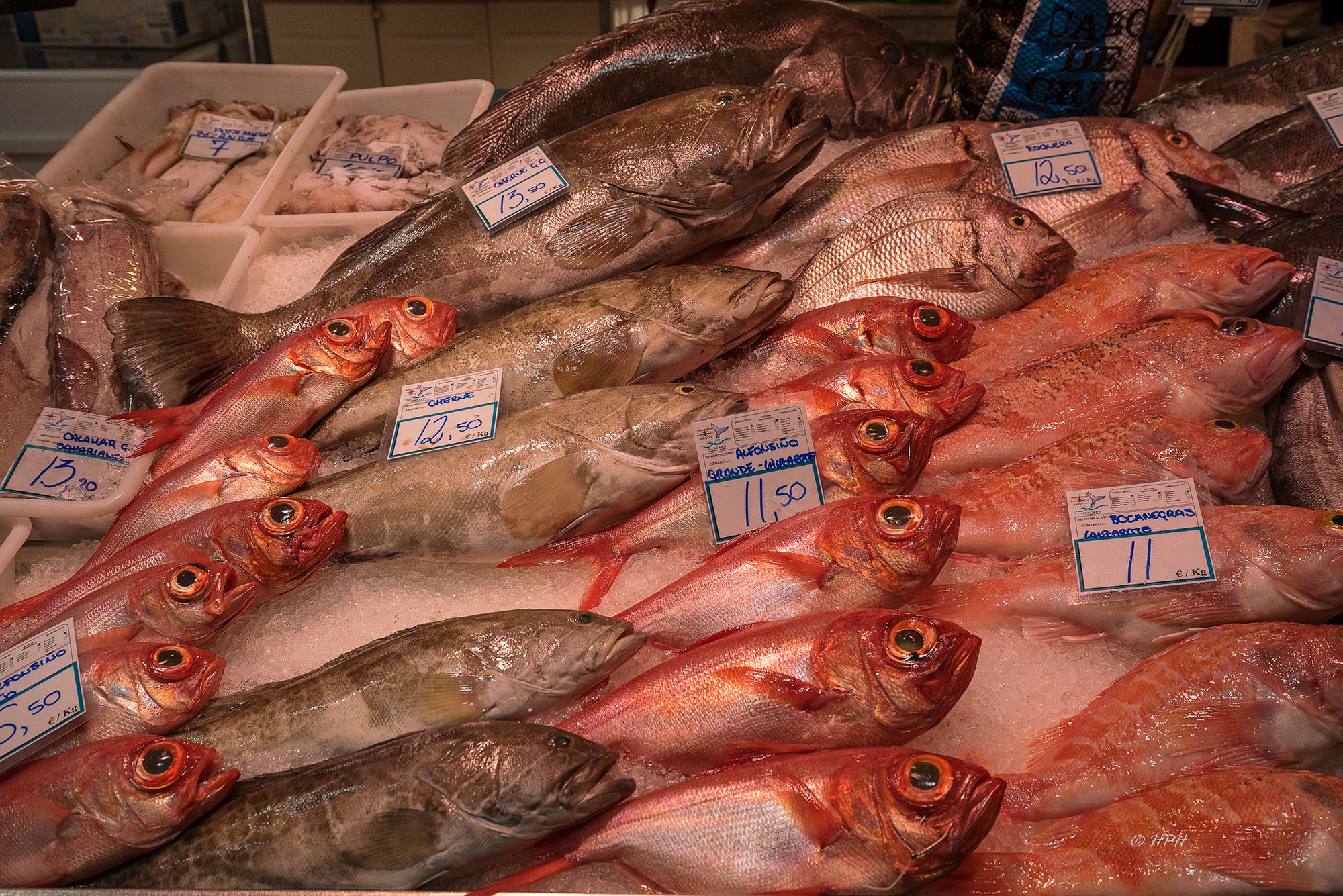 Mercado Nuestra Señora de Africa, Santa Cruz de Tenerife, Spain