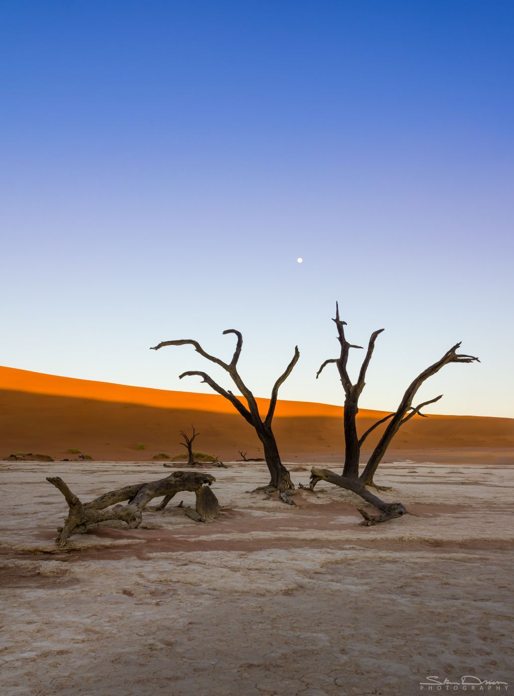 Deadvlei, Sossusvlei, Namibia