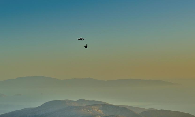 Mountain crows diving around Mount Zas, Naxos