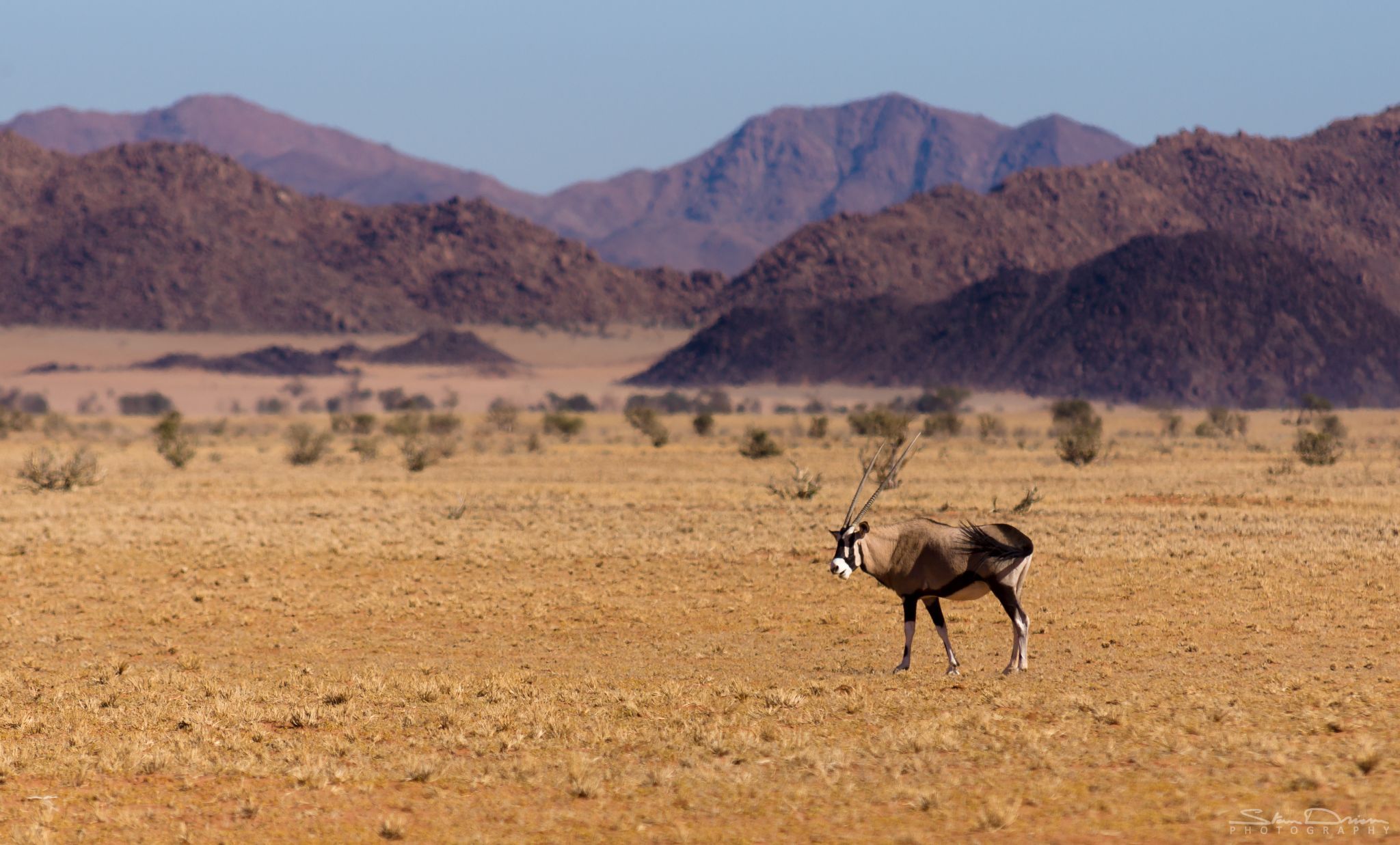 Namibian desert, Namibia