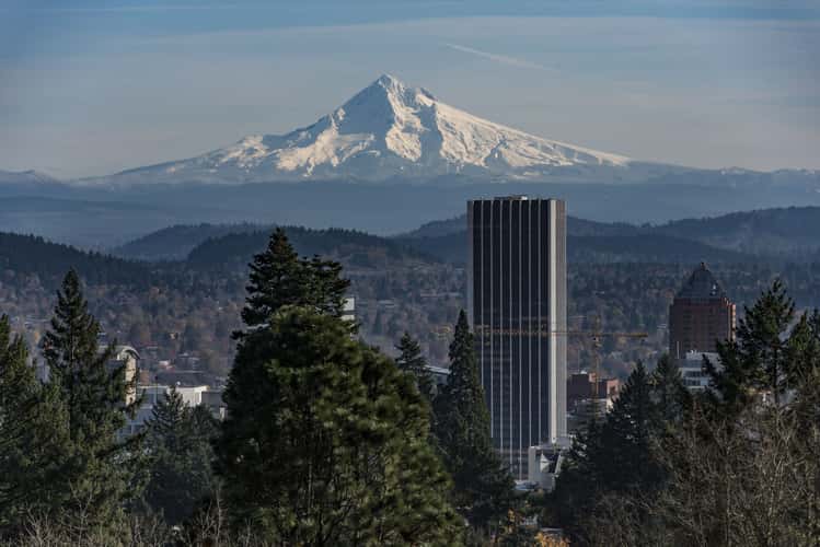 Portland from japanese Garden