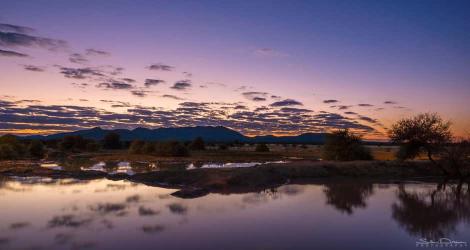 Purple sunrise