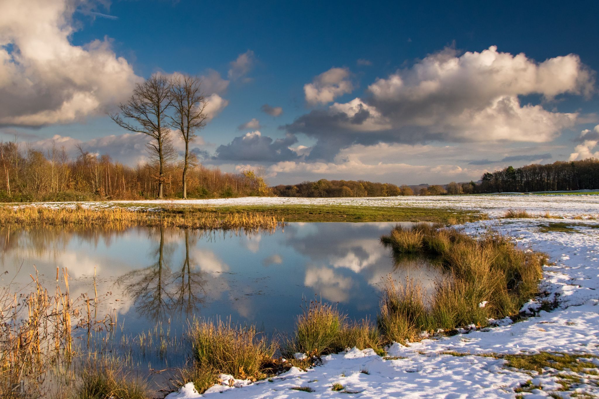 Rodder Maar, Germany
