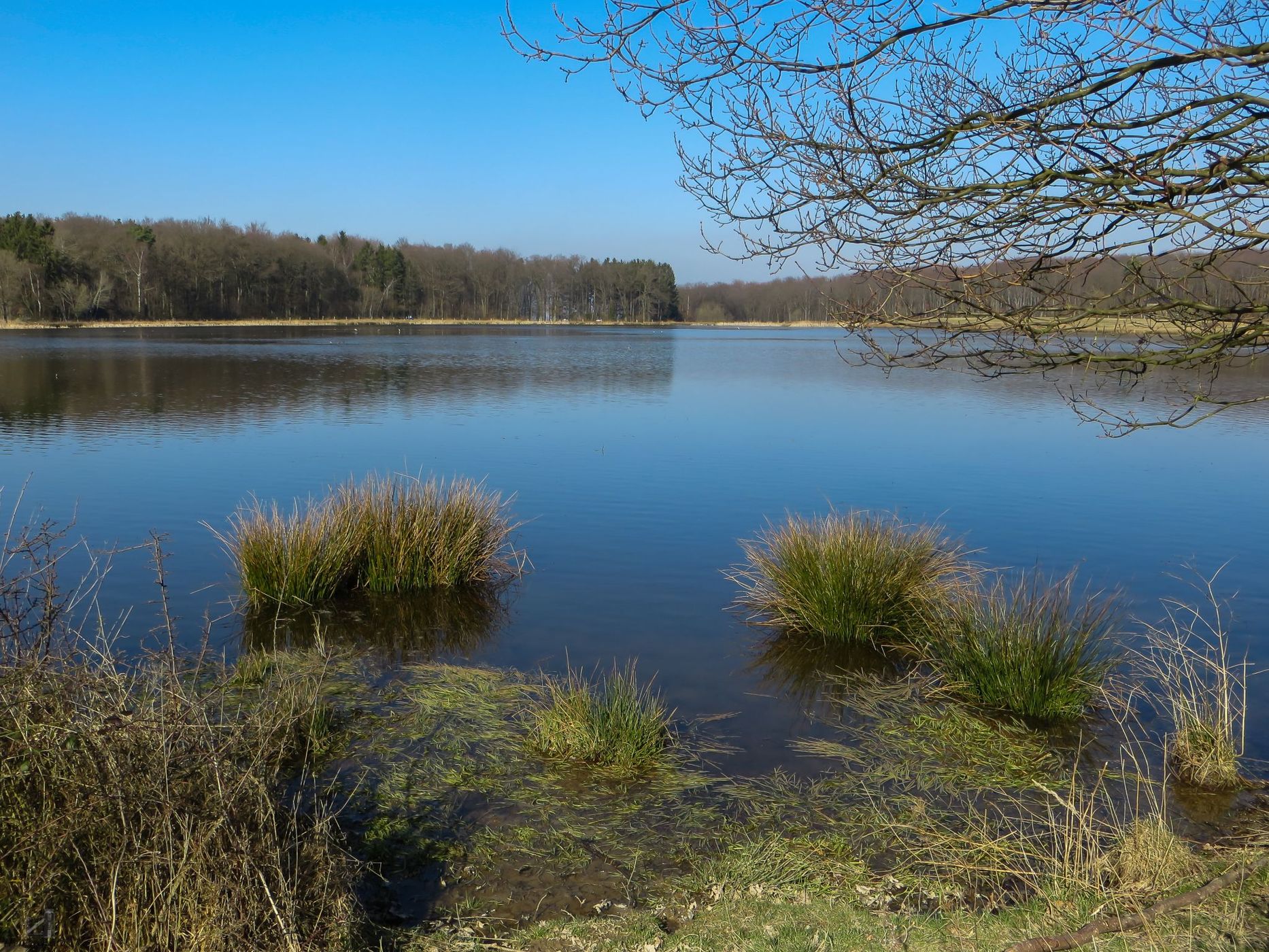 Rodder Maar, Germany
