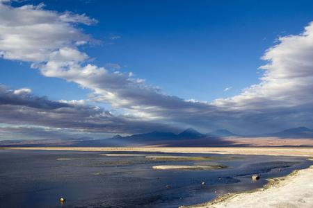 Salar de Atacama (Laguna Chaxa)
