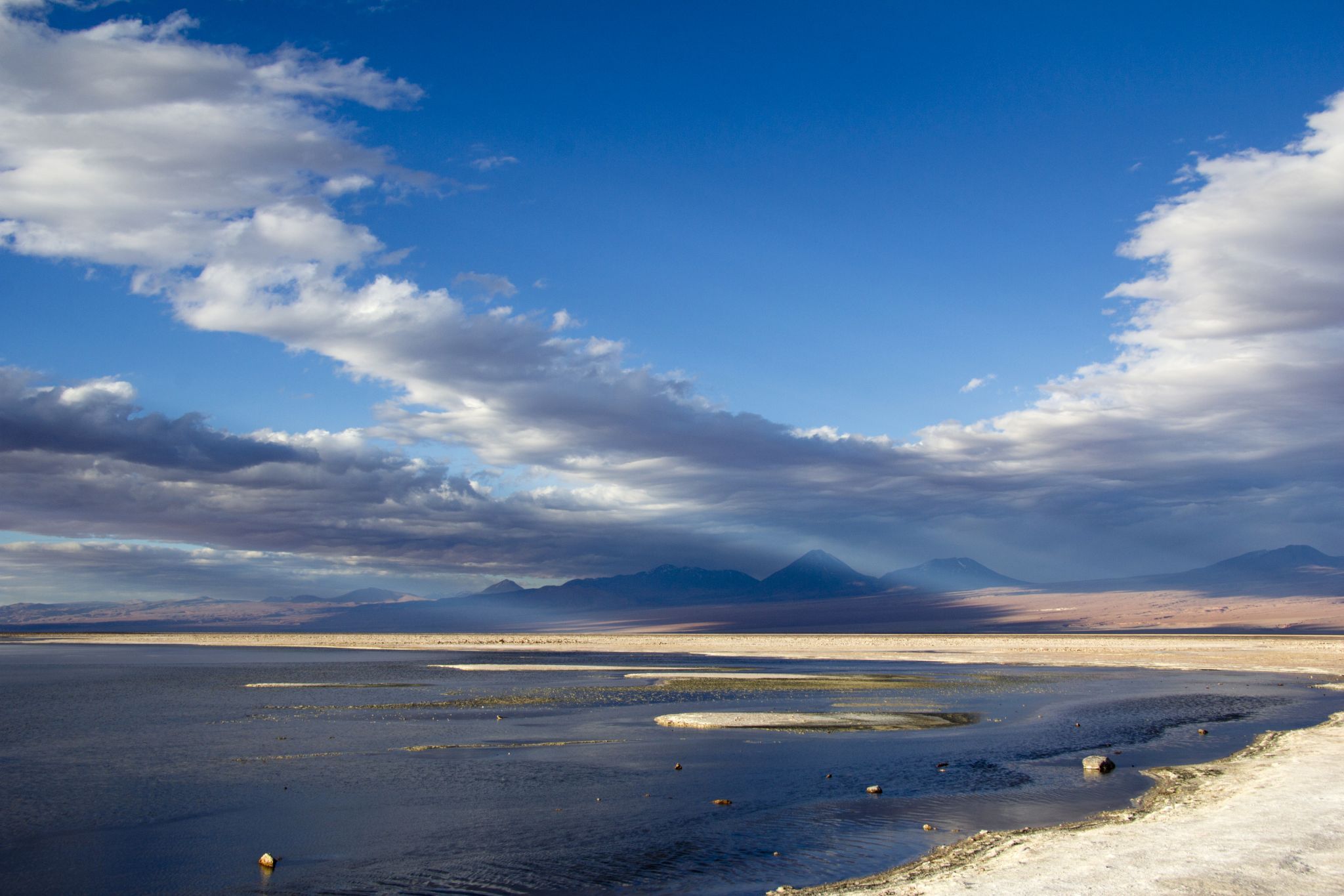 Salar de Atacama (Laguna Chaxa), Chile
