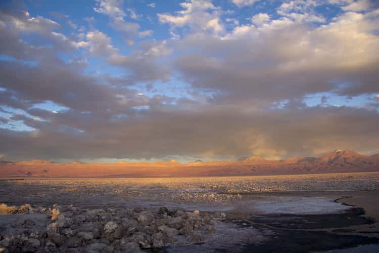 Salar de Atacama (Laguna Chaxa)