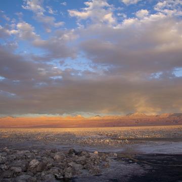Salar de Atacama (Laguna Chaxa), Chile
