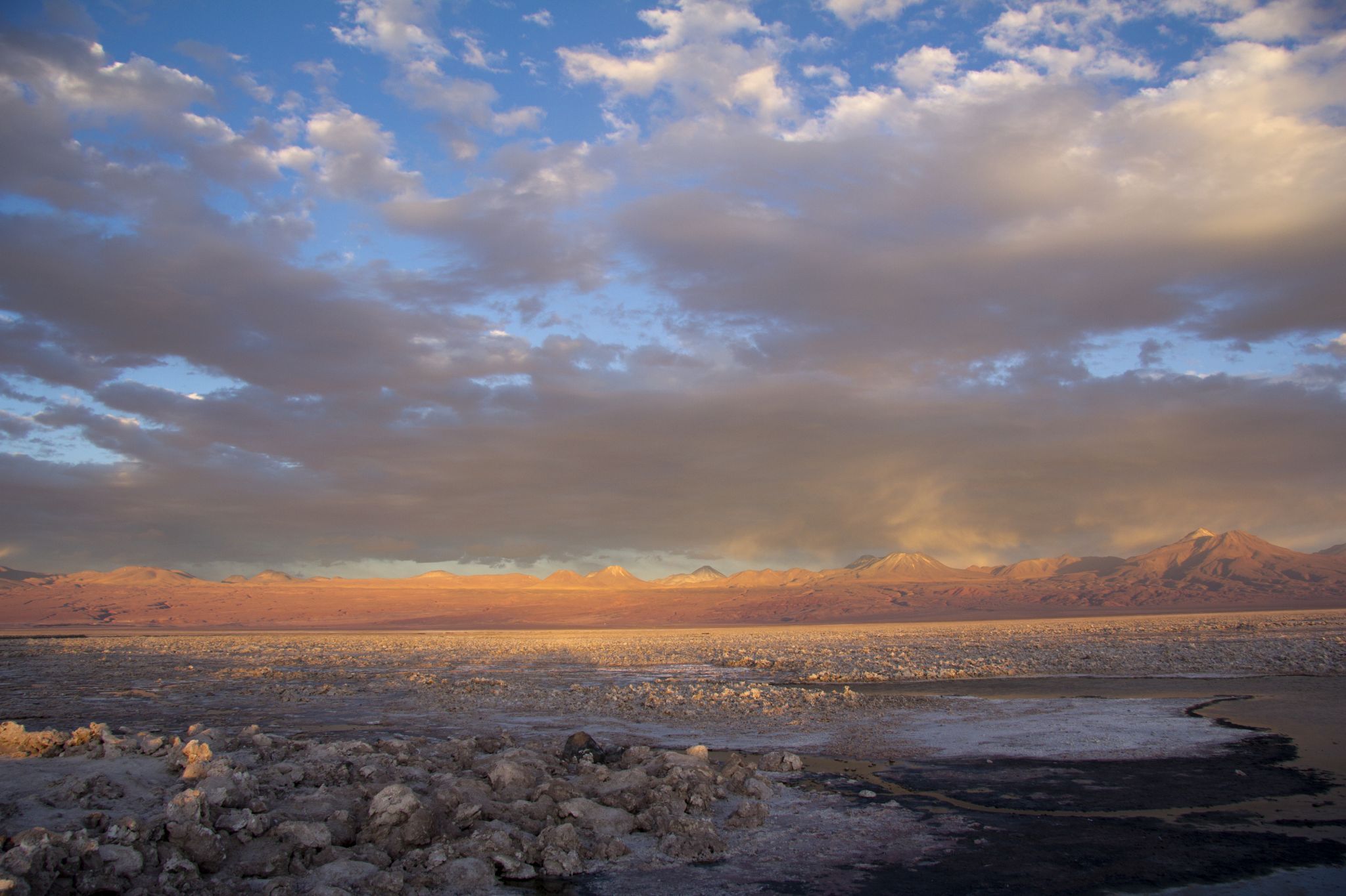 Salar de Atacama (Laguna Chaxa), Chile