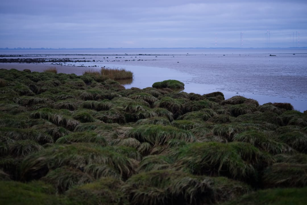 Solway Firth, United Kingdom