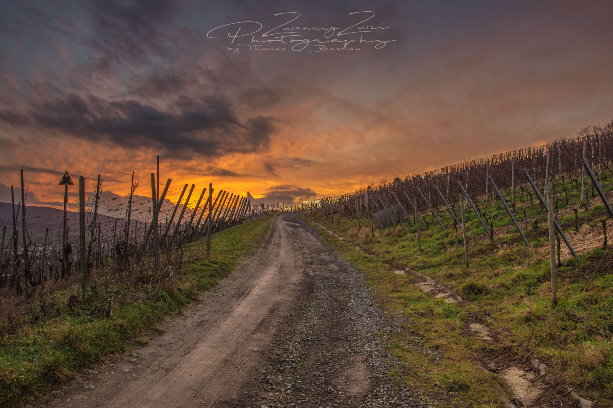 Sonnenuntergang auf dem Rotweinwanderweg, Germany