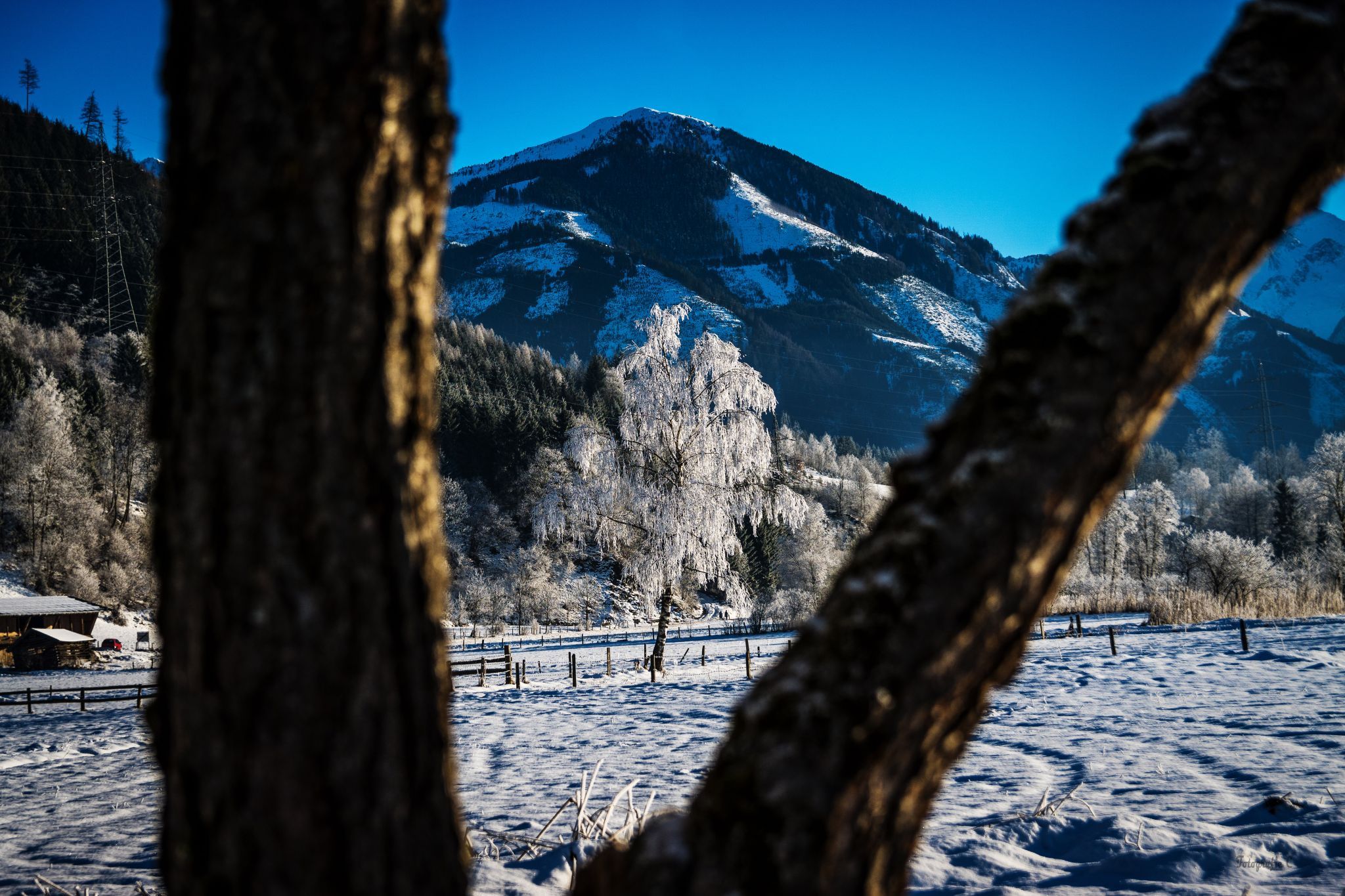 South of Lake of Zell, Austria, Austria