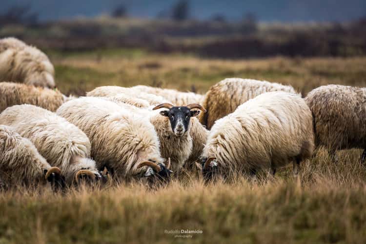 Stand out