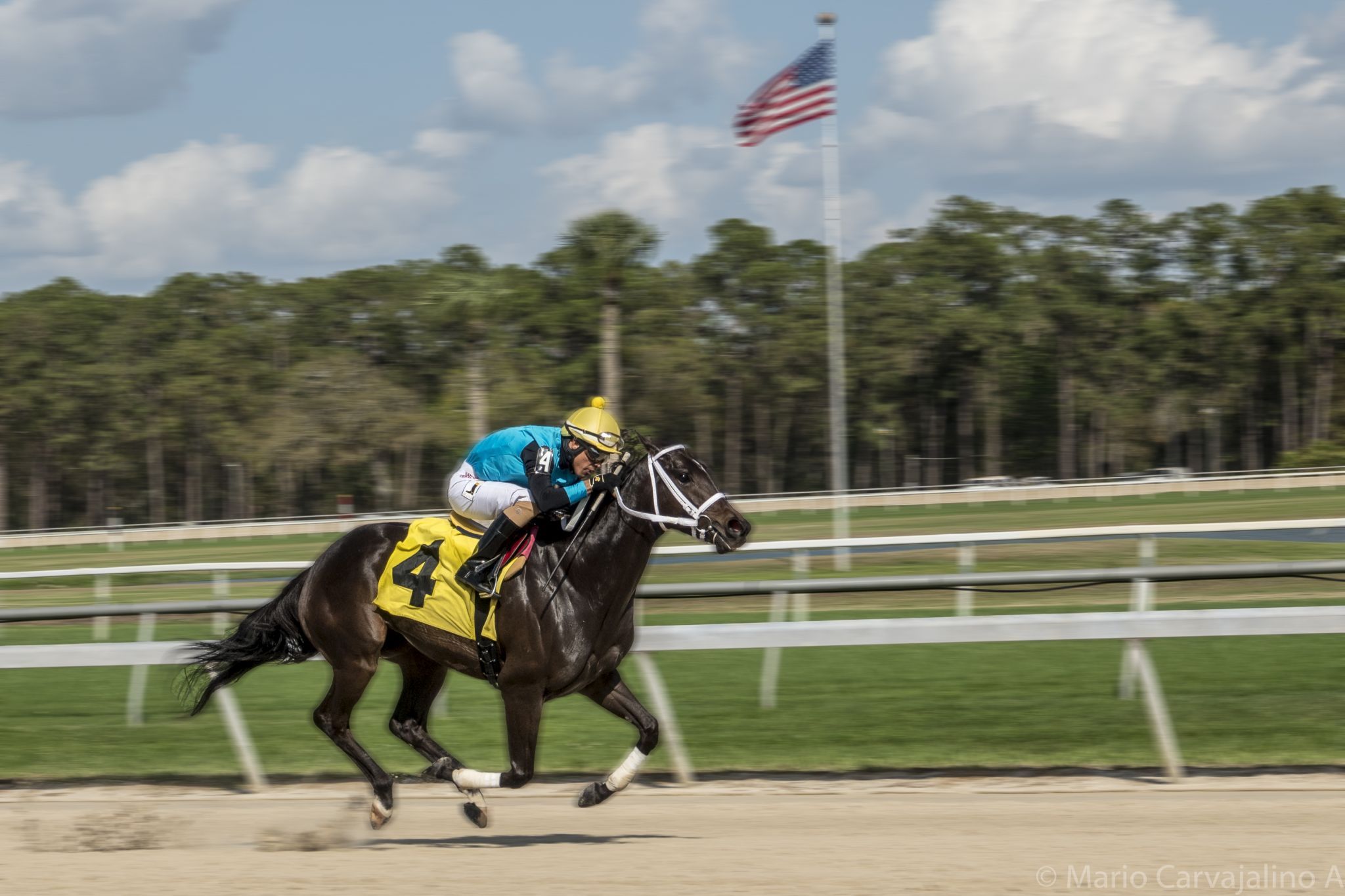 Tampa Bay Downs, USA