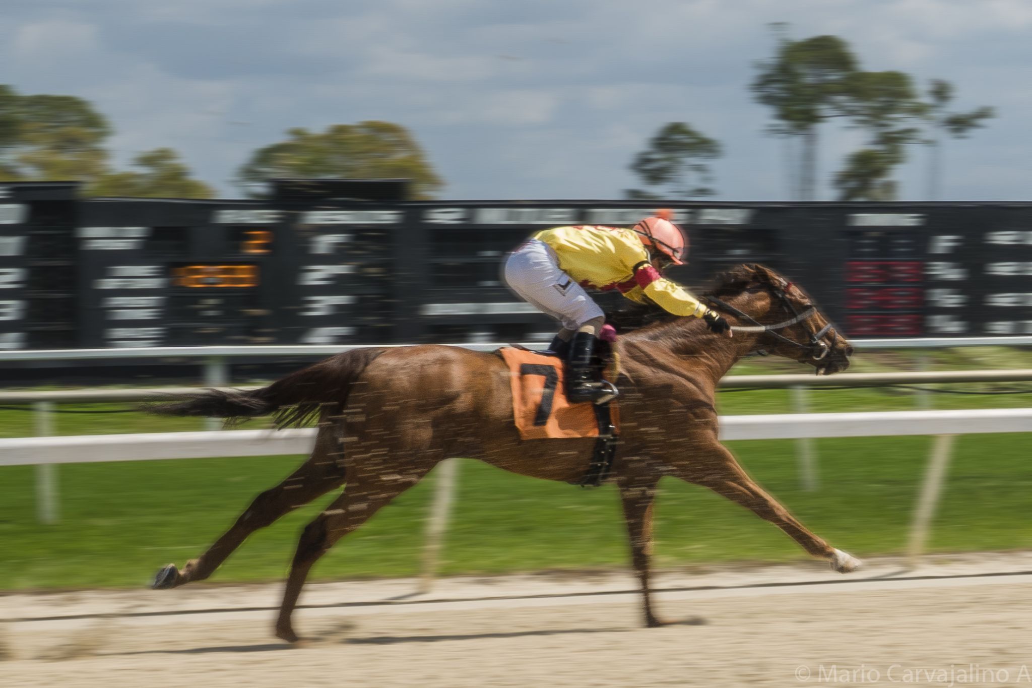 Tampa Bay Downs, USA