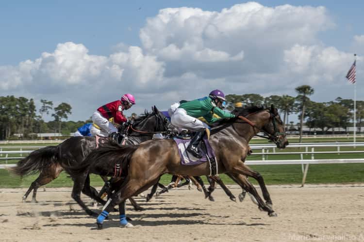 Tampa Bay Downs