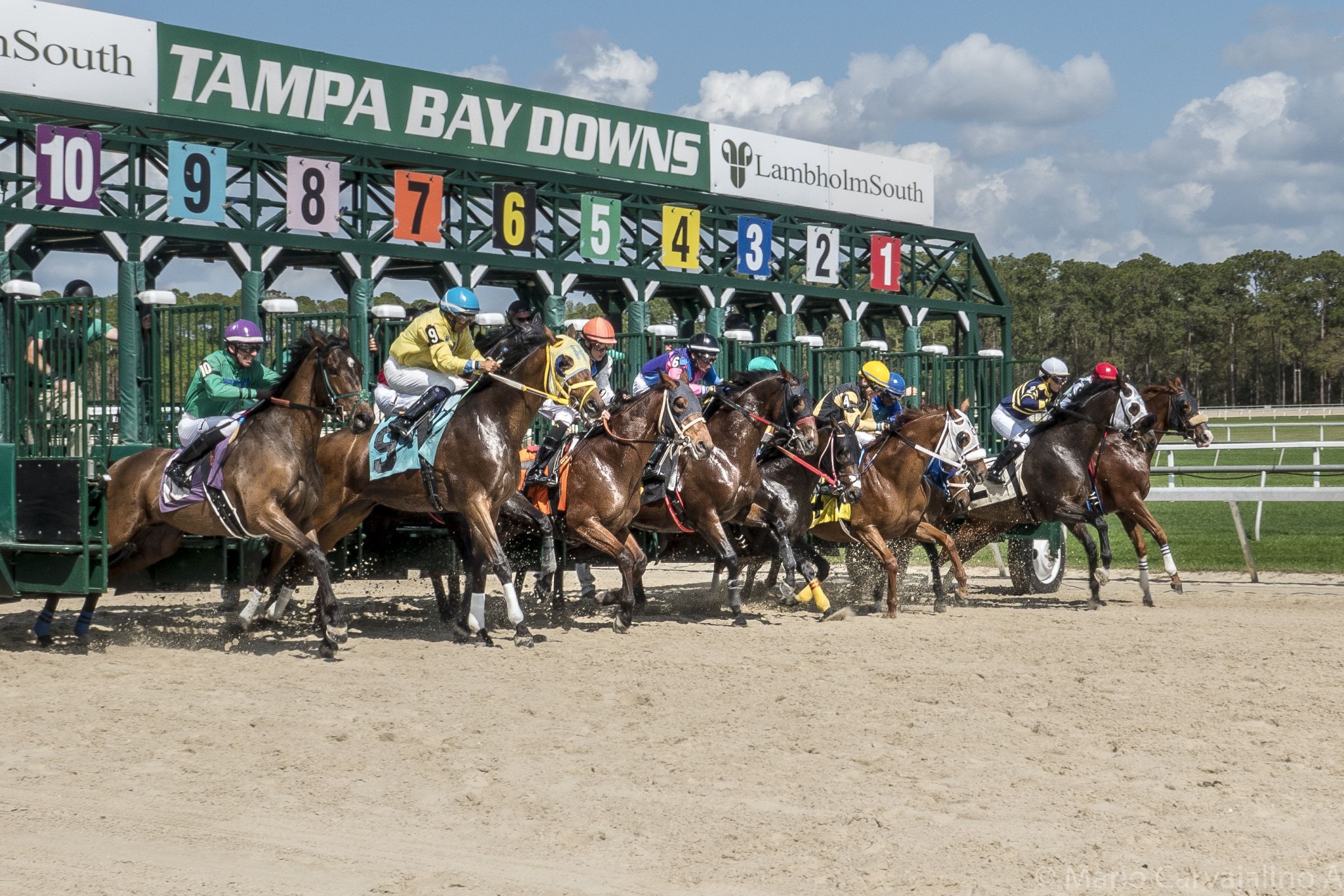 Tampa Bay Downs, USA