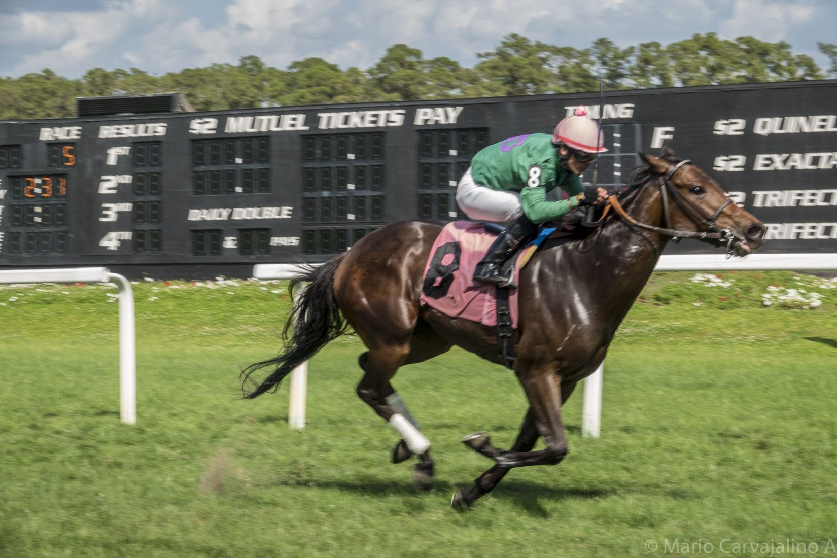 Tampa Bay Downs, USA